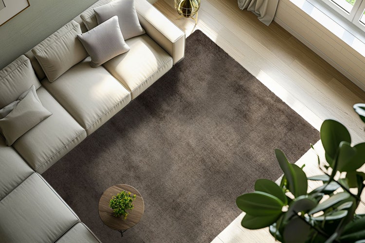Draufsicht auf ein Wohnzimmer mit einem dunkelbraunen Teppich, einem Sofa mit Dekokissen, einem kleinen Beistelltisch und einer Zimmerpflanze.