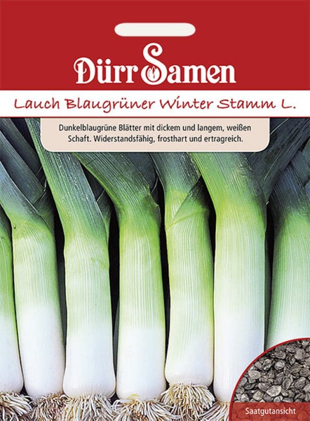 Samenpackung für Lauch Blaugrüner Winter Stamm L. von Dürr Samen mit Abbildung von erntereifem Lauch und einer Detailansicht der Samen.