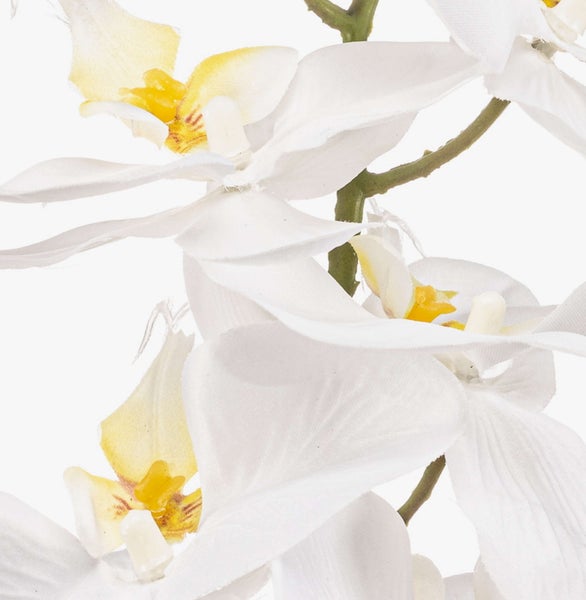 Künstliche Calathea Pflanze mit gestreiften Blättern in einem blauen Glastopf mit Steinen.