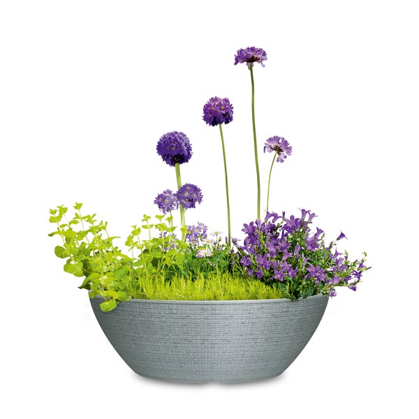 Scheurich Barceo Jardiniere 60, Pflanzschale/Blumentopf/Pflanzenschale, oval,  aus Kunststoff Farbe: Stony Grey, 58,5 cm Breite, 23,7 cm Tiefe, 19,5 cm hoch, 14,5 l Vol.