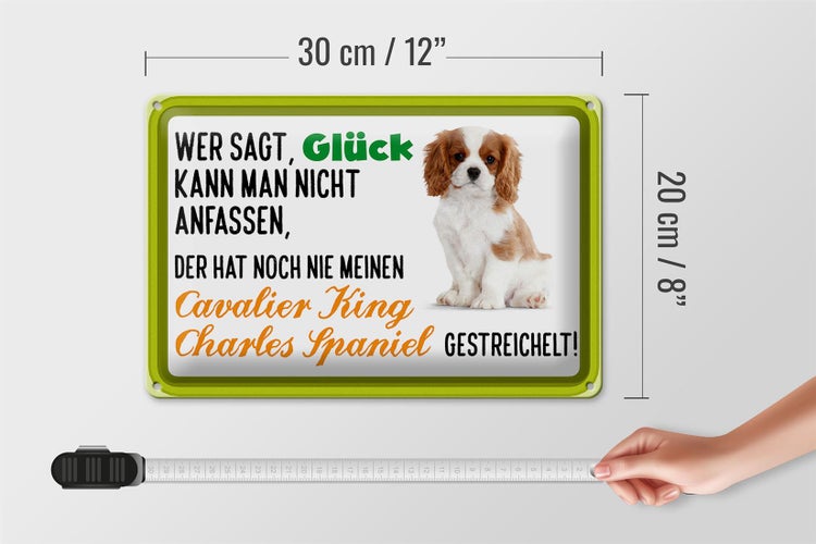 Blechschild Spruch 30x20cm Cavalier King Charles Spaniel
