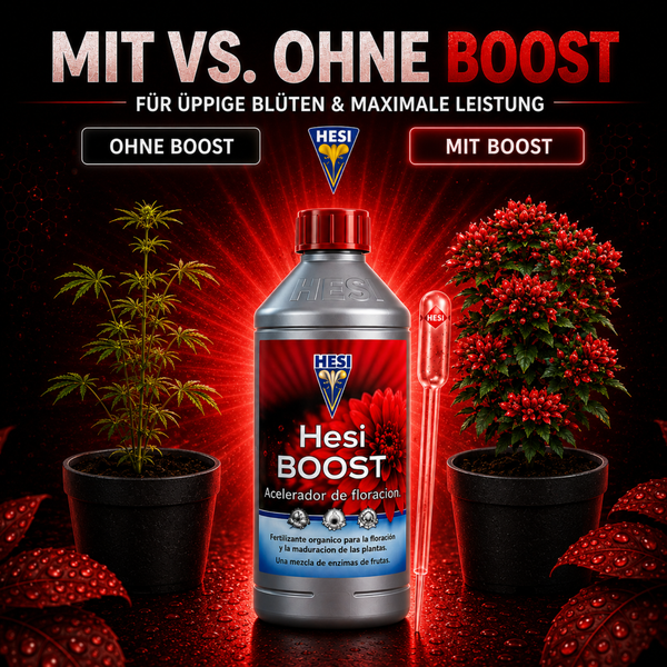 Hesi Boost Pflanzendünger Vergleichsdarstellung mit Pflanze ohne und mit Blütestimulator für üppige Blütenbildung.