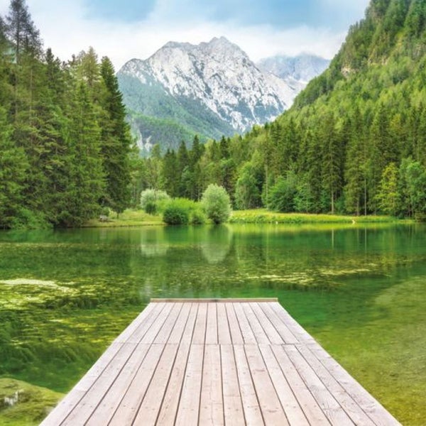 Landschaft mit See, Wald und Bergen im Hintergrund