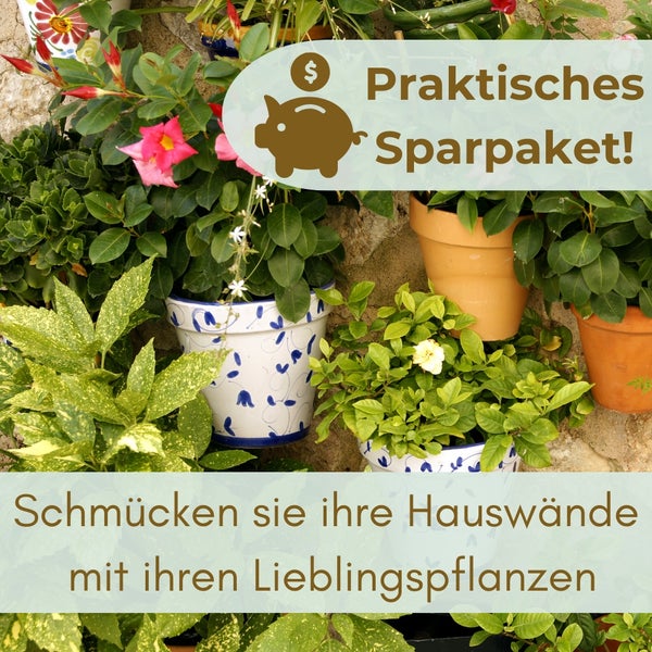 Pflanzen in Töpfen vor einer Wand mit dem Text: Praktisches Sparpaket! Schmücken Sie Ihre Hauswände mit Ihren Lieblingspflanzen.