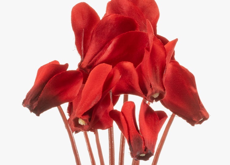 Rote künstliche Alpenveilchen Blüten mit Stielen.
