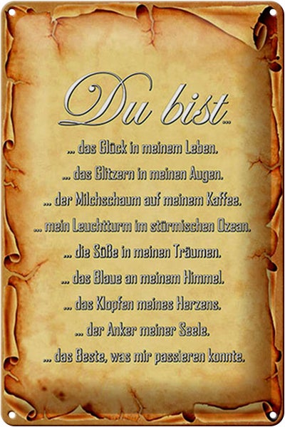 Blechschild Spruch 20x30cm Du bist Glück in meinem Leben