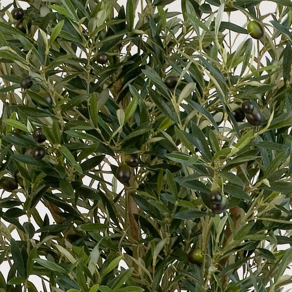 Nahaufnahme eines künstlichen Olivenbaums mit grünen Blättern, dunklen Olivenfrüchten und braunen Stämmen.