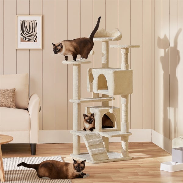 Katzenkratzbaum mit mehreren Ebenen und drei Siamkatzen in einem hellen Wohnzimmer.