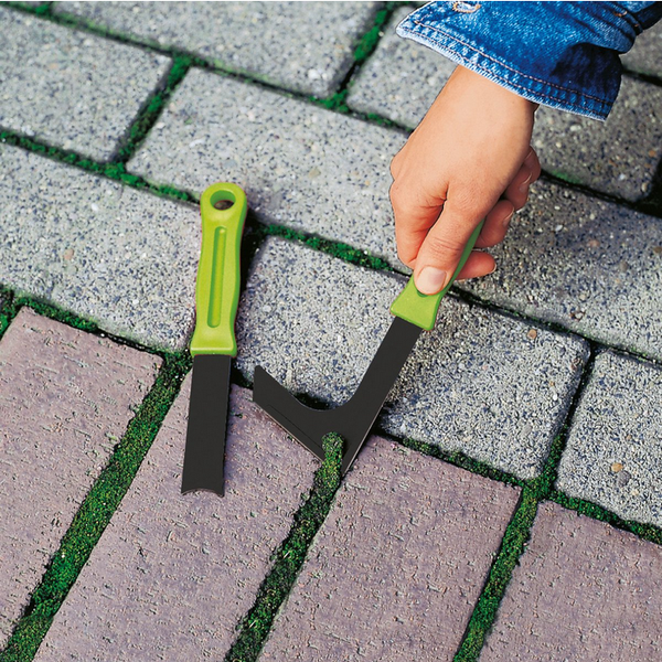 Glasgefäß mit Pflanzenarrangement, Moos und Erdboden