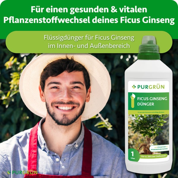 Eine Flasche Purgrün Ficus Ginseng Flüssigdünger vor einem lachenden Gärtner mit Hut und Schürze.