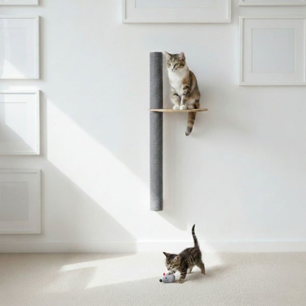 Wandkratzbaum mit Liegeplatte und Kratzstamm montiert an einer weißen Wand mit einer Katze darauf und einem Kätzchen mit Spielzeug am Boden.