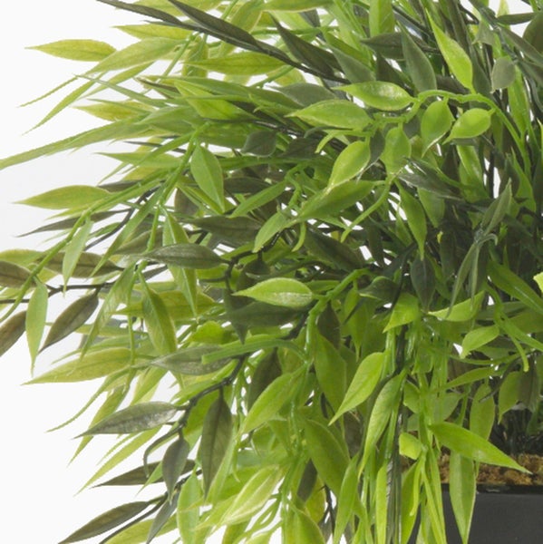 Künstliche Pflanze mit grünen spitzen Blättern in einem schwarzen quadratischen Topf.