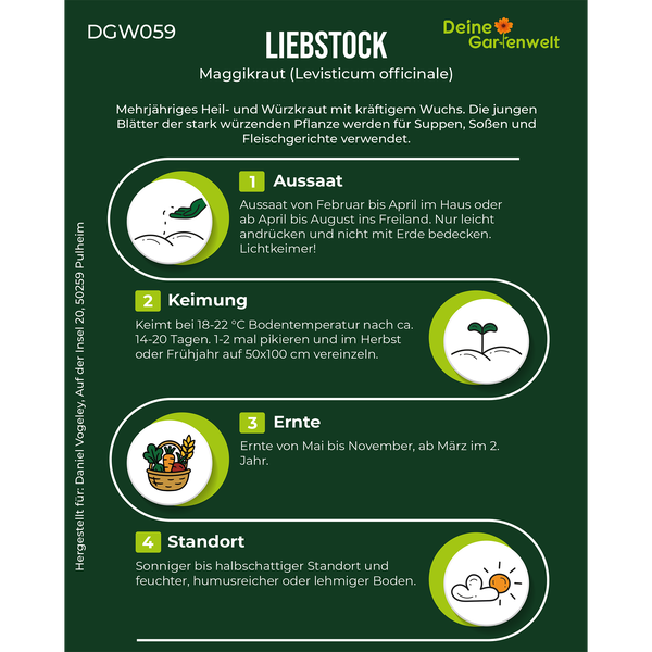 Infografik zu Liebstöck (Maggikraut) mit Details zu Aussaat, Keimung, Ernte und Standort. Marke Deine Gartenwelt.
