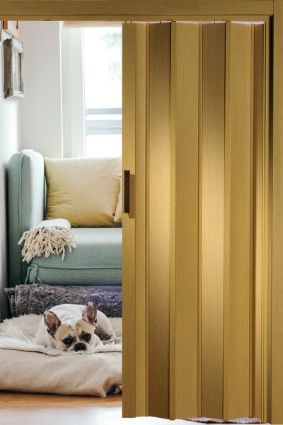 Raumansicht mit Falttür und Hund auf einem Kissen