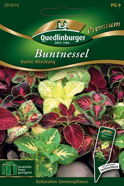 Quedlinburger Logo, Samentüte für Buntnessel Bunte Mischung, dekorative Zimmerpflanze, geeignet für das Gewächshaus, mit praktischem Sortenetikett.