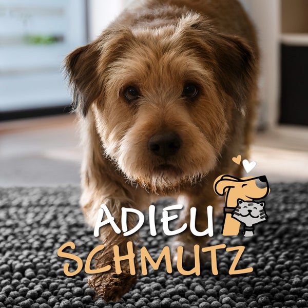 Graue Chenille-Matte mit einem darauf liegenden Hund und einer Detailansicht der saugfähigen Mikrofaserschlingen.