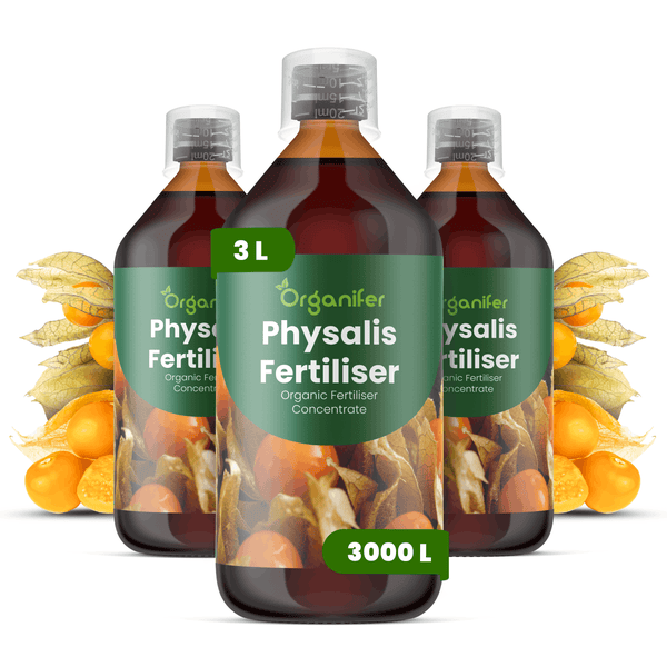 Drei Flaschen Organifer Physalis Dünger, organisches Düngerkonzentrat, 3 Liter Gesamtmenge für bis zu 3000 Liter Gießwasser.