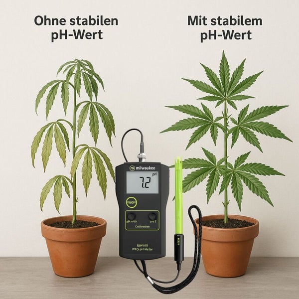 Vergleich von Pflanzen mit und ohne stabilen pH-Wert, gemessen mit einem Milwaukee pH-Messgerät