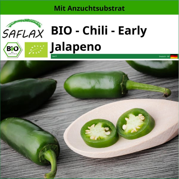 SAFLAX  - BIO - Chili - Early Jalapeno - Capsicum annuum - 20 Samen - Mit keimfreiem Anzuchtsubstrat