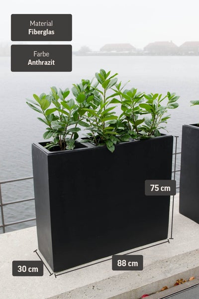 Rechteckiger Pflanzkübel aus Fiberglas, 88 mal 30 mal 75 Zentimeter, Farbe Anthrazit, bepflanzt mit grünen Sträuchern.