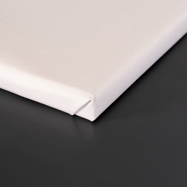 Leinwandbild, Canvasmaterial, Handmade in Deutschland, Wandbild, bedruckt, Vögel auf Ast_ CCS00403 in 60x40cm