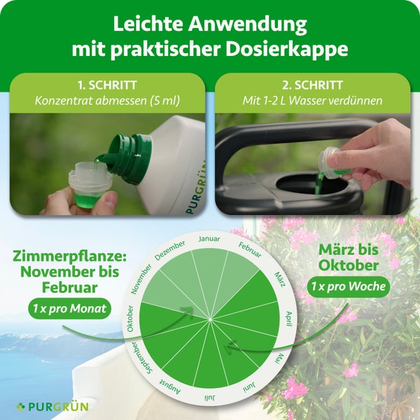 Infografik zur Anwendung von Purgrün Flüssigdünger: Schritt 1 Konzentrat abmessen, Schritt 2 mit Wasser verdünnen sowie Anwendungskalender.