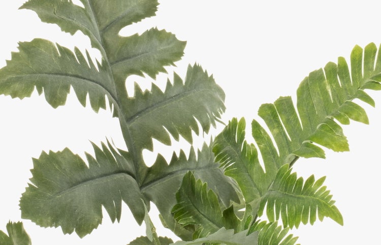 Künstlicher Farn mit gezackten grünen Blättern in Nahaufnahme.