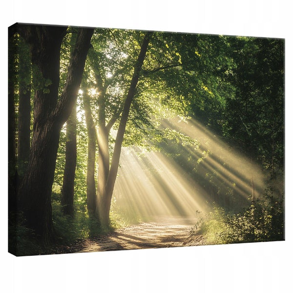 Bilder Wald Natur Leinwandbild Wandbild Wanddeko Schlafzimmer 120X80 cm