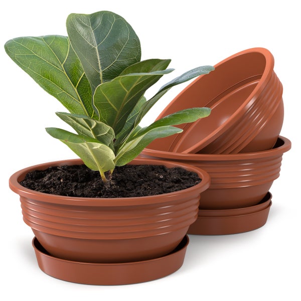 Zimmerpflanze in Pflanzgefäß mit Untersetzer neben gestapelten Pflanzgefäßen