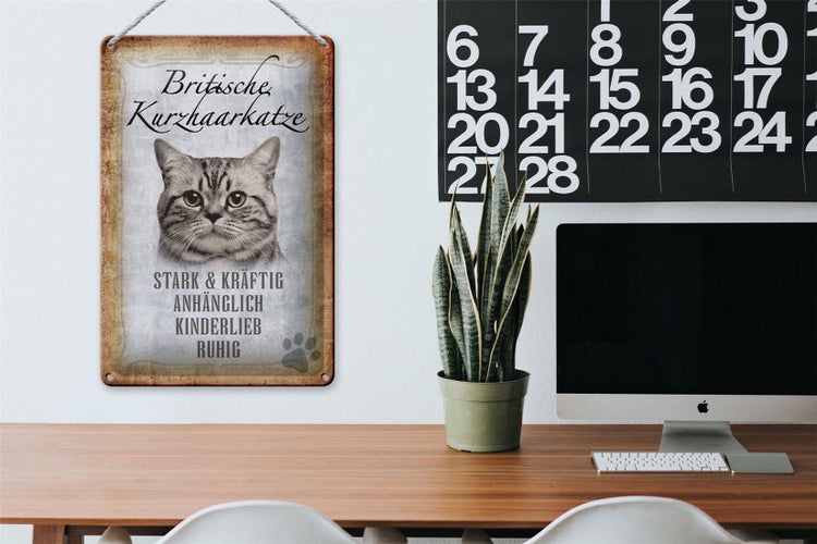 Blechschild Spruch 20x30cm britische kurzhaarkatze Schild
