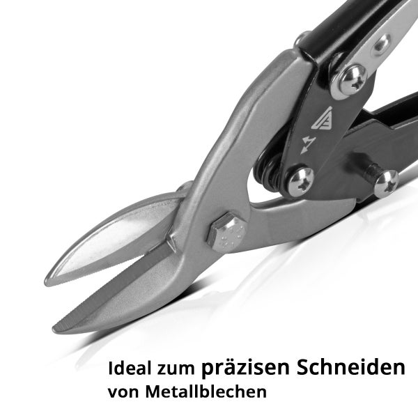 Muster mit Vögeln und Blättern