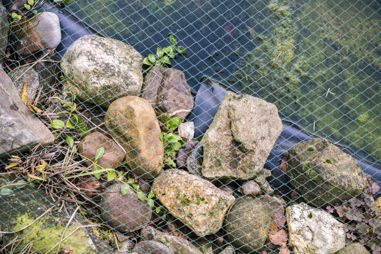 Teichnetz 11m x 8m Laubnetz Netz Vogelschutznetz robust