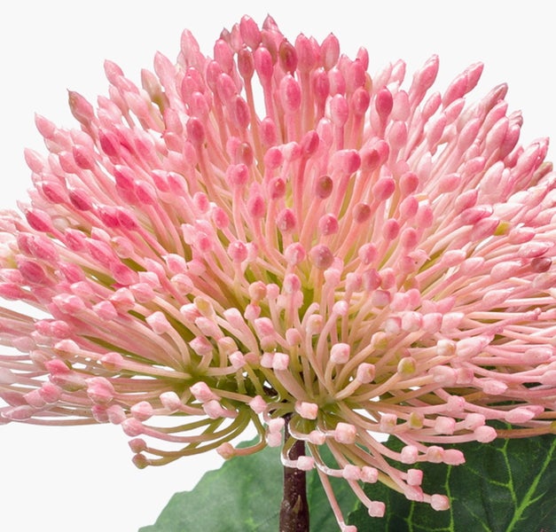 Künstliche Blume mit rosafarbener Blüte und grünen Blättern am Stiel.