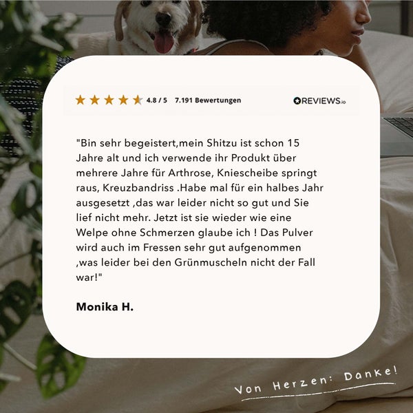 ALPHAZOO Marine Kollagen Pulver 250g für Hunde und Katzen I Fisch Kollagenhydrolysat