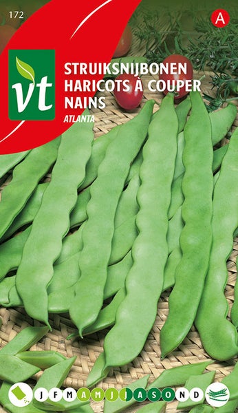 Buschbohnen zum Schneiden