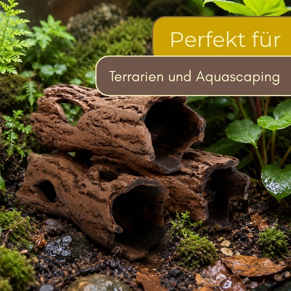 Dekorative hohle Baumstämme für Terrarien und Aquascaping in einer natürlichen Umgebung mit Moos und Pflanzen.