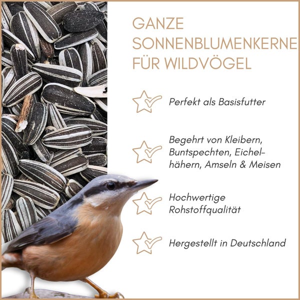 Ganze Sonnenblumenkerne für Wildvögel mit Kleiber