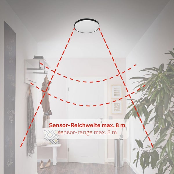 Heller Flur mit einer Deckenleuchte und Darstellung der Sensor-Reichweite von maximal 8 Metern durch gestrichelte Linien.