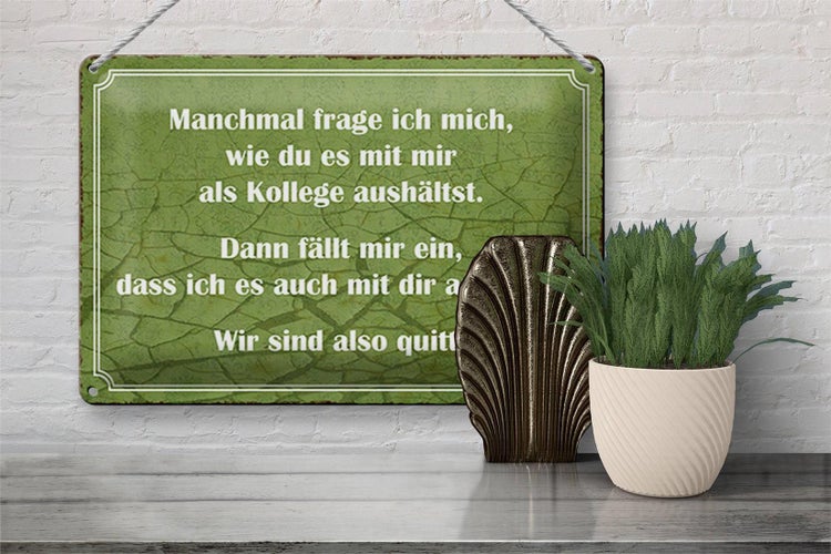 Blechschild Spruch 30x20cm wie du mit mir als Kollege