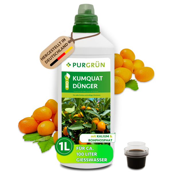 Purgrün Bio Kumquat Dünger 1 Liter Flasche für circa 100 Liter Gießwasser, hergestellt in Deutschland, mit Kalium und Rohphosphat.