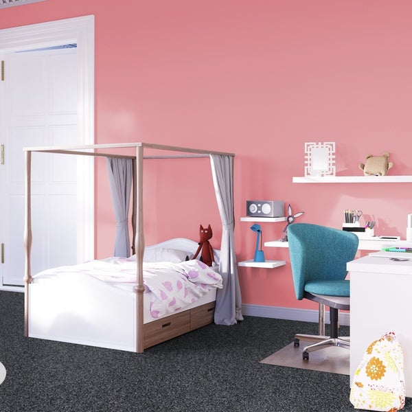 Teppichboden Meterware in Anthrazit strapazierfähige Auslegware mit Schlingen 500 cm Breite (Meterware)