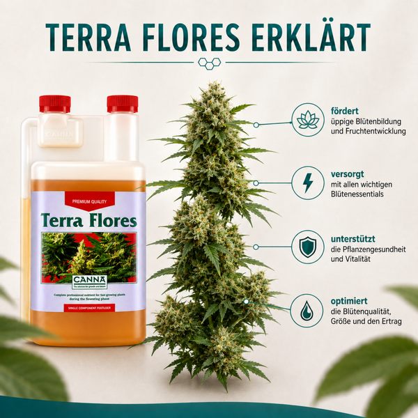 Canna Terra Flores Pflanzendünger für die Blütephase mit Erklärungen zu den Vorteilen für Pflanzenwachstum und Blütenbildung.