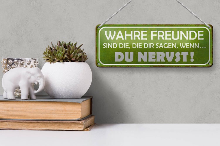 Blechschild Spruch 27x10cm wahre Freunde sagen du nervst Dekoration