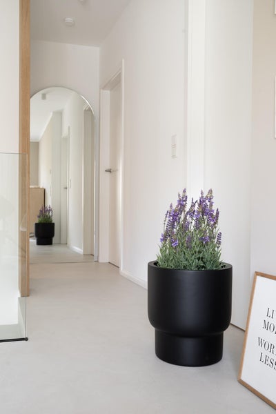Moderner, heller Flur mit einem schwarzen runden Pflanzkübel mit Lavendel auf einem hellen Boden.