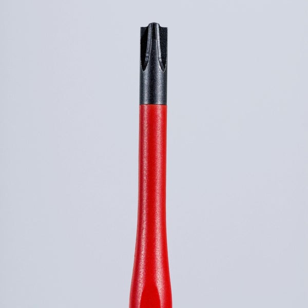 Torx Schraubendreher Nahansicht