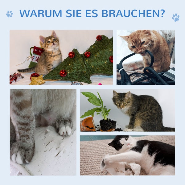 Collage mit Bildern von Katzen, die Unfug anstellen: Kätzchen neben Weihnachtsbaum, Katze kaut an Kabel, Katzenpfoten auf zerkratzter Oberfläche, Katze neben umgestürzter Pflanze, Katze spielt mit Toilettenpapier