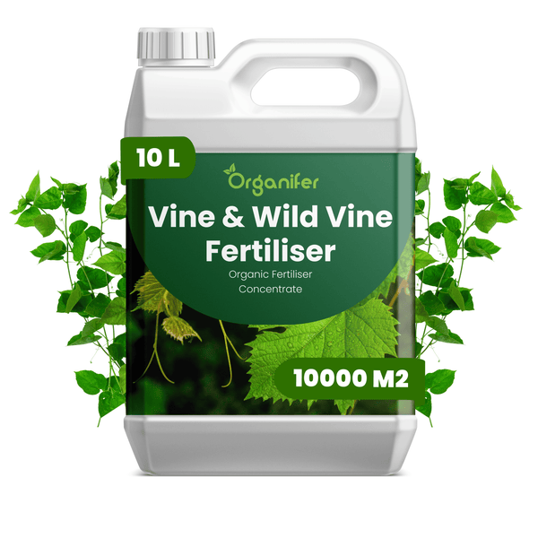10 Liter Kanister Organifer organischer Flüssigdünger-Konzentrat für Weinreben und wilden Wein, ausreichend für 10000 Quadratmeter.