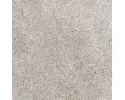 Wand- und Bodenfliese Jurassic grigio 60x60 cm