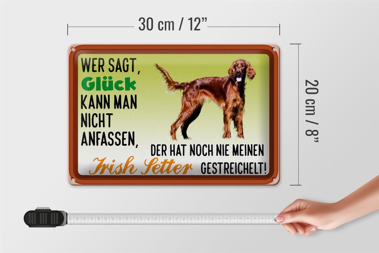 Blechschild Spruch 30x20cm Glück Irish Setter Hund