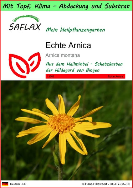 SAFLAX Garden to go - Echte Arnica - Arnica montana - 40 Samen - Mit Topf, Klima - Deckel und Anzuchtsubstrat